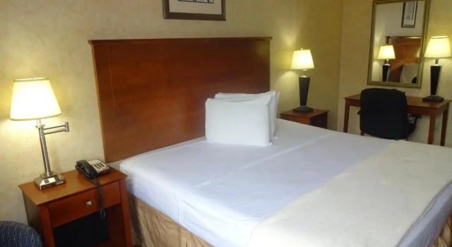 Двухместный номер Standard Sheridan Hotel