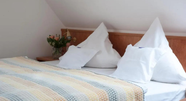 Двухместный номер Standard с видом на озеро Insel-Hof Reichenau Hotel-garni