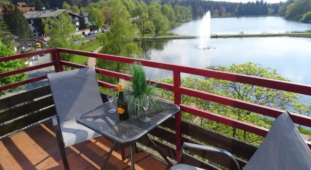 Апартаменты App Sweet Harz Haus am See 580