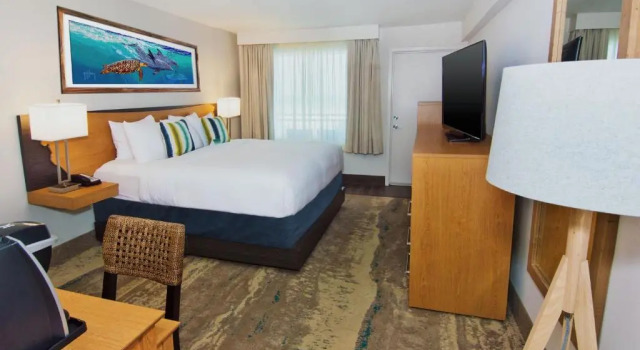 Номер Standard Guy Harvey Resort on Saint Augustine Beach