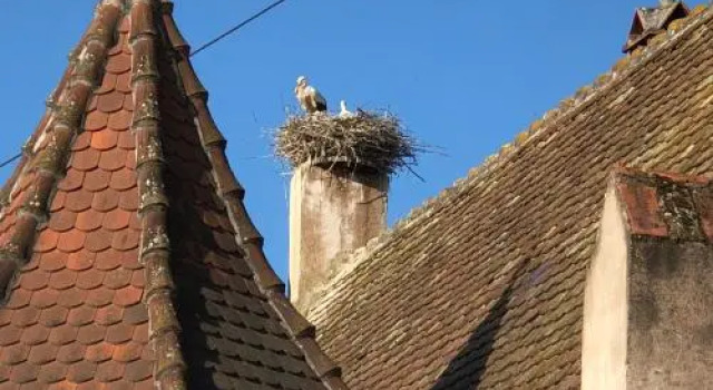 Le Grenier Des Arômes Au Domaine Wittmann