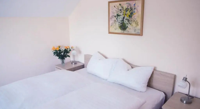 Люкс Classic Hotel - Pension Vesta