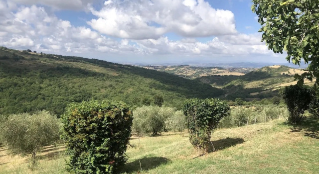 Апартаменты с балконом Fattoria La Pieve