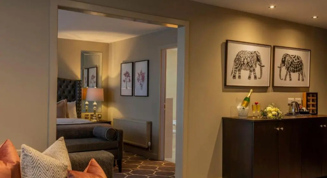 Люкс Presidential Athlone Springs Hotel