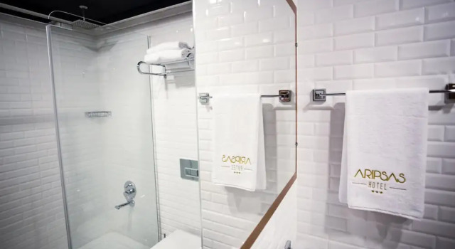 Трёхместный номер Standard Aripsas Hotel