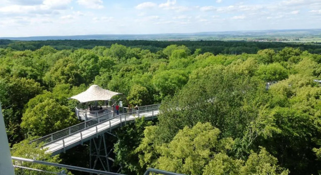 Апартаменты с 2 комнатами City-Apartments Mühlhausen