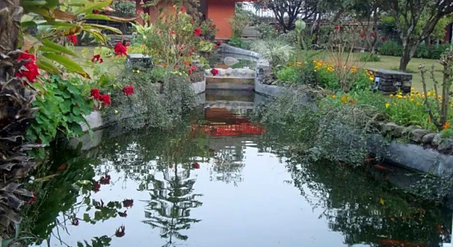 Двухместный номер Deluxe Shangri-La Village Resort