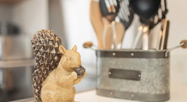Squirrel Cottage, Забронировать Дом для отпуска Странрар Rhins of Galloway