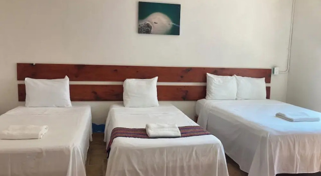 ikarus kiteboarding, Rezervasyon Otel Cancún 