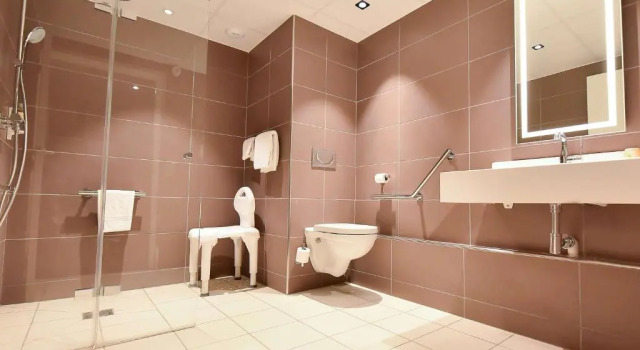 Двухместный номер Standard Hotel Mercure Blois Centre