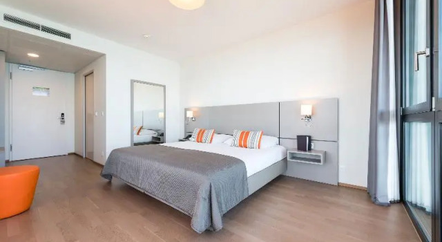 Одноместный номер Deluxe Lake Geneva Hotel