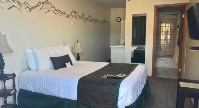 Двухместный номер Standard The Pioneer Motel