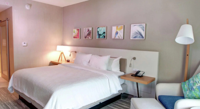 Двухместный номер Standard Hilton Garden Inn Tampa - Wesley Chapel
