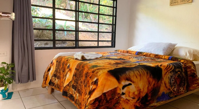 Hakuna Matata Guest House - Hostel