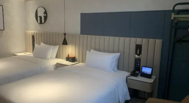 Suite FunGee