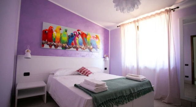 B&B Trepo
