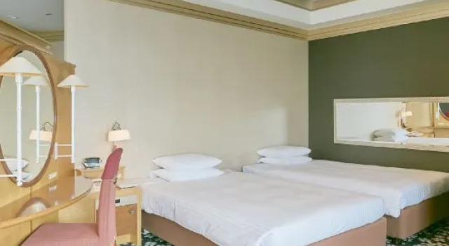Люкс Hotel Seagull Tenpozan Osaka