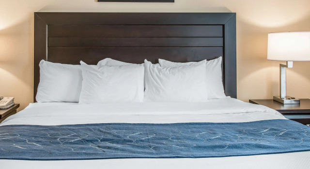 Двухместный люкс Comfort Suites South Bend Near Casino