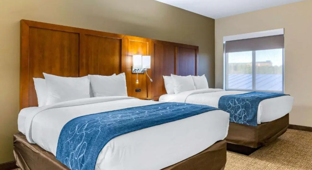Четырёхместный номер Standard Comfort Suites Greensboro-High Point