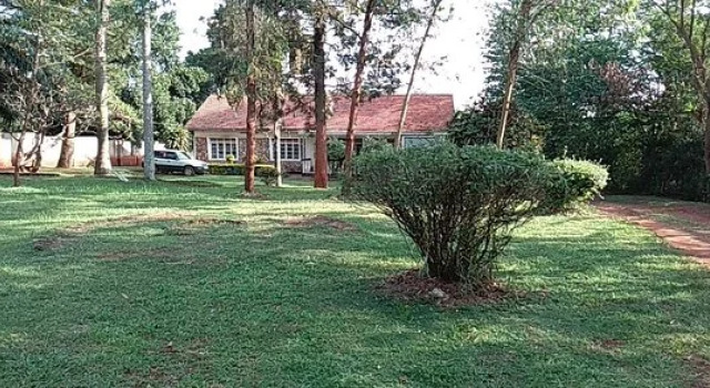 studio 62 guest house