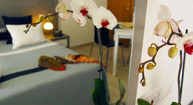 Студия Residence Frascati