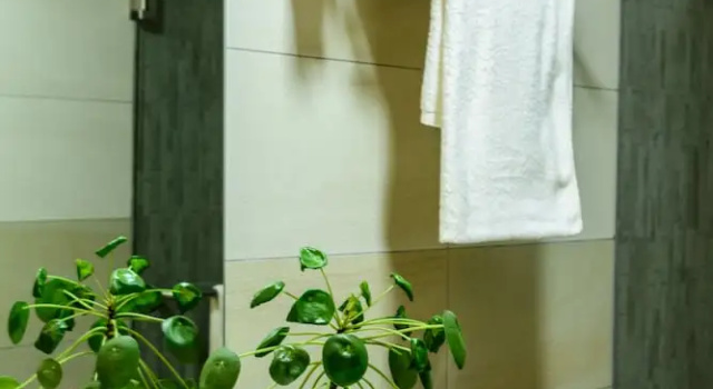 Апартаменты Fig Tree Residences