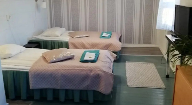 Двухместный номер Standard Hotelli Suonenjoki