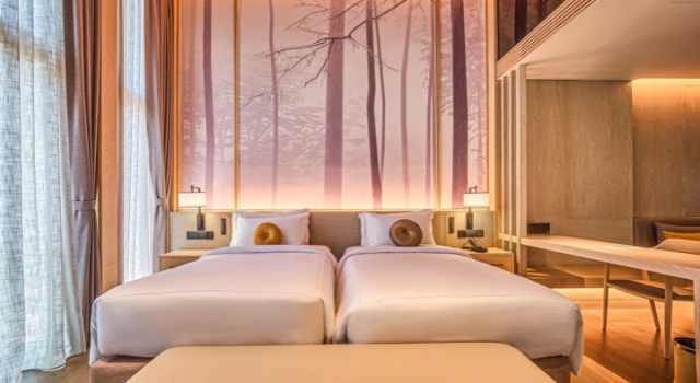 Номер Deluxe Hotel MYS Khao Yai