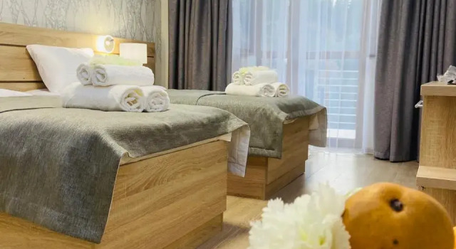 Standard Twin room with balcony and with forest and mountain view Park Hotel Aluston