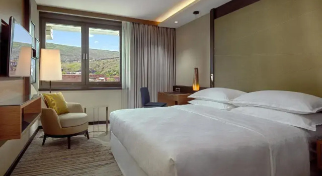 Двухместный номер Deluxe Sheraton Grand Tbilisi Metechi Palace