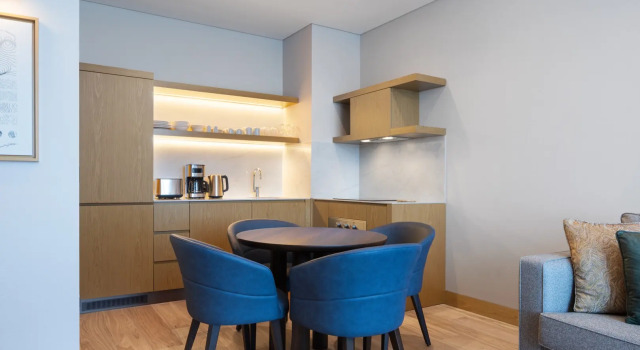 Апартаменты c 1 комнатой с красивым видом из окна Marriott Executive Apartments Istanbul Investvadi