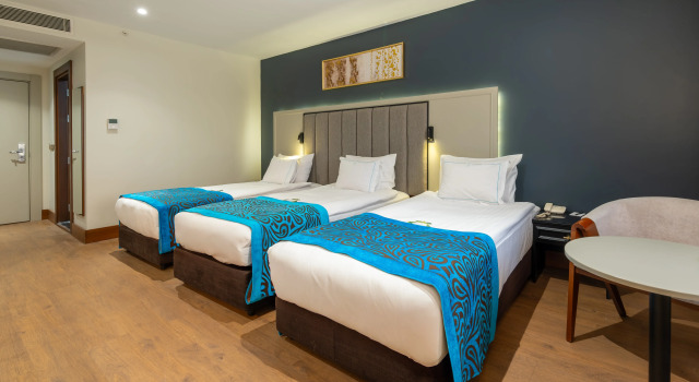Трёхместный номер Deluxe с видом на город Отель Teymur Continental Hotel