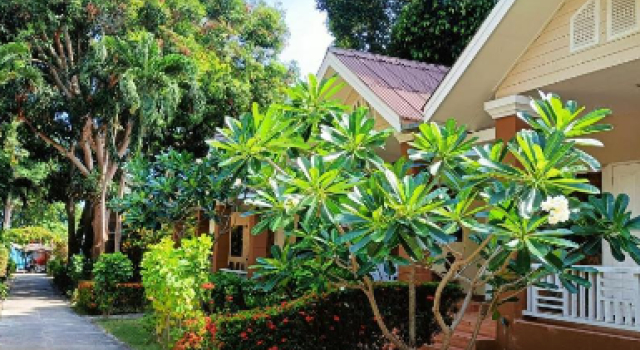 Двухместный коттедж Standard с балконом Malibu Samed Resort