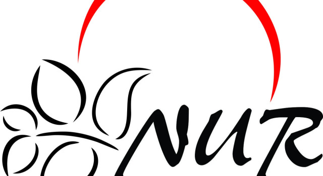 Отель Nur