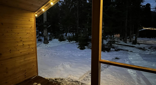 Четырёхместный коттедж с 2 комнатами с красивым видом из окна База отдыха Forest house resort