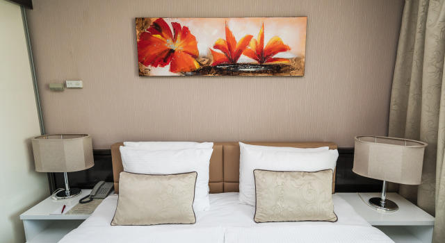 Номер Standard с красивым видом из окна Hotel Holiday