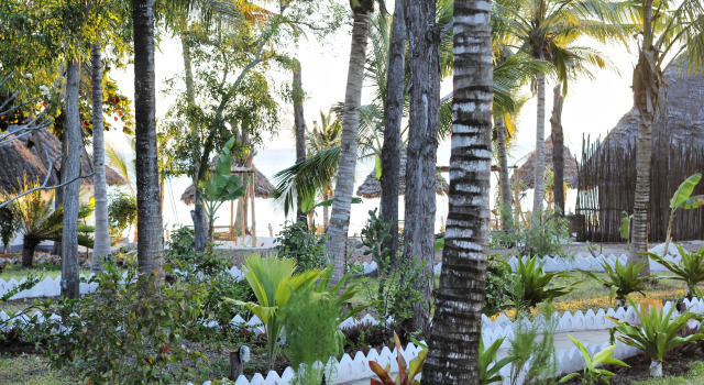 Отель Aya Beach Bungalows