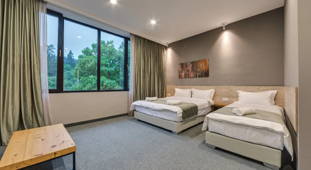 Номер Deluxe Mountain Resort Gantiadi