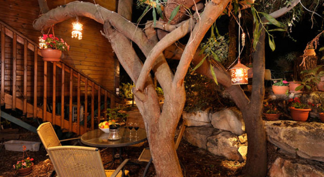 Шале Tree House Chalets