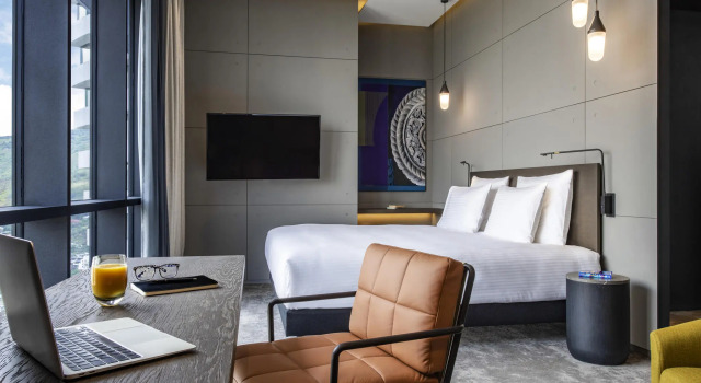 Двухместный номер Executive с видом на город Pullman Tbilisi Axis Towers