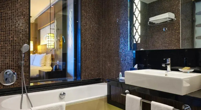 Двухместный номер Делюкс с видом на город Hilton Baku