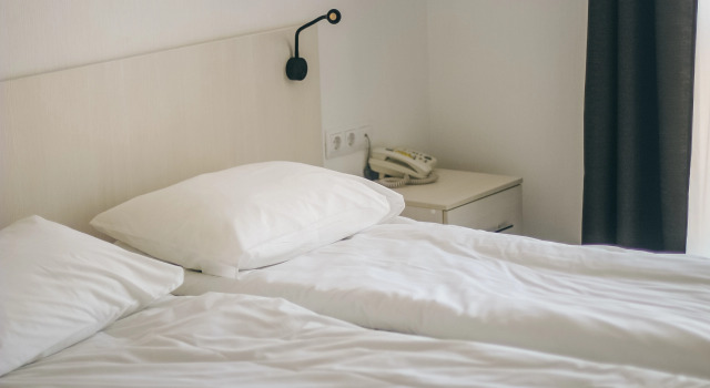 Standaard Tweepersoonskamer Narvskij Posad Hotel