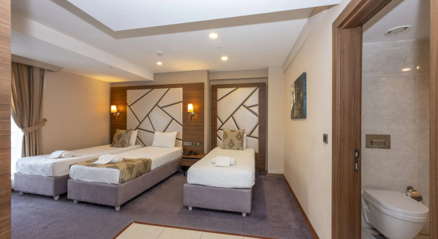 Трёхместный номер Standard Отель Litros Hotel & Spa