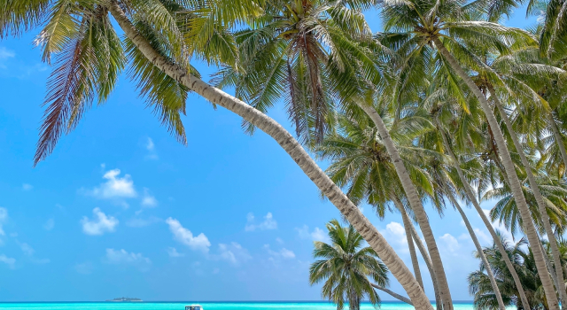 Вилла Captal Island