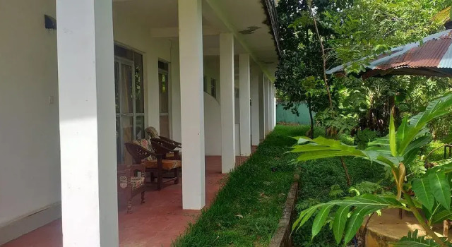 Отель Hasthi Resort Habarana