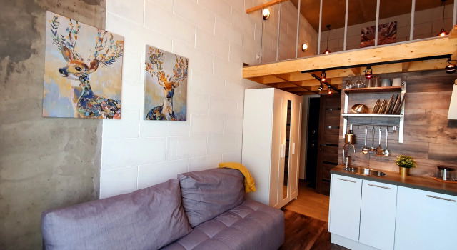 Апартаменты Апартаменты Duplex Loft 1