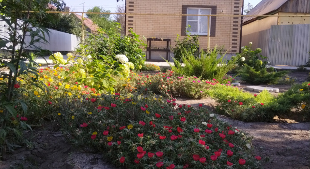 Viktoriya Guest House, Prenota Affittacamere Astrachan' Astrakhan Region
