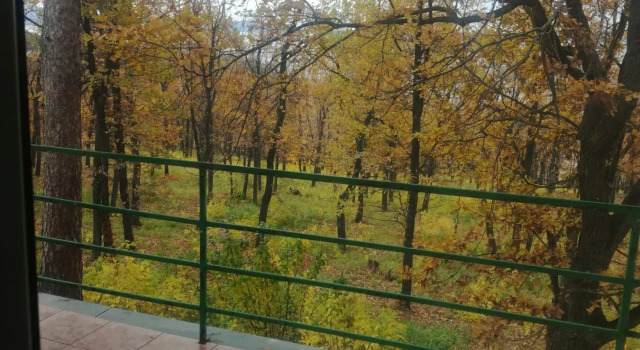 Кровать в общем номере МУП Пансионат Звездный