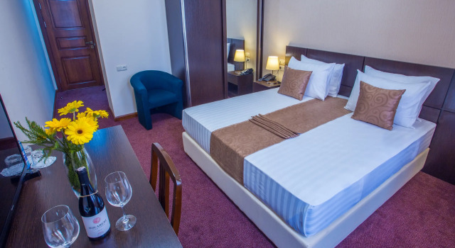 Premium Eenpersoonskamer uitzicht op de stad Ani Central Inn Hotel