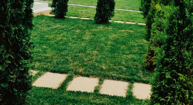 Villa Bilgah Guest House, Buchen Sie Pension Bilgah Baku